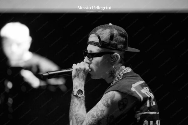DSC04235 2