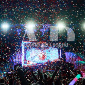 VTNA90 PORRINO #26989