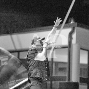 VTNA90 PORRINO #19628