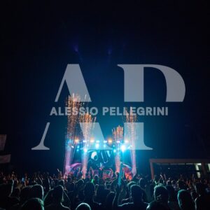 VTNA90 PORRINO #99551