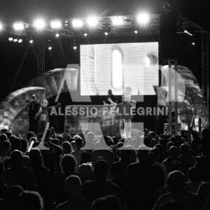 VTNA90 PORRINO #44935