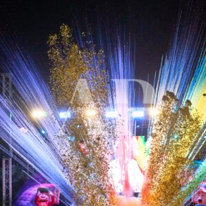 VTNA90 PORRINO #95433