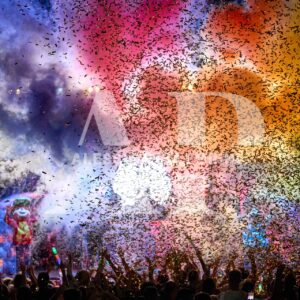 VTNA90 PORRINO #09480