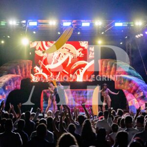 VTNA90 PORRINO #53215