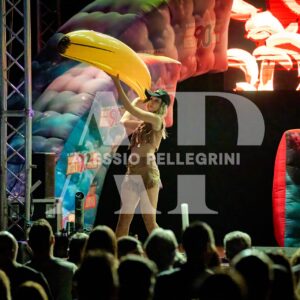 VTNA90 PORRINO #90101